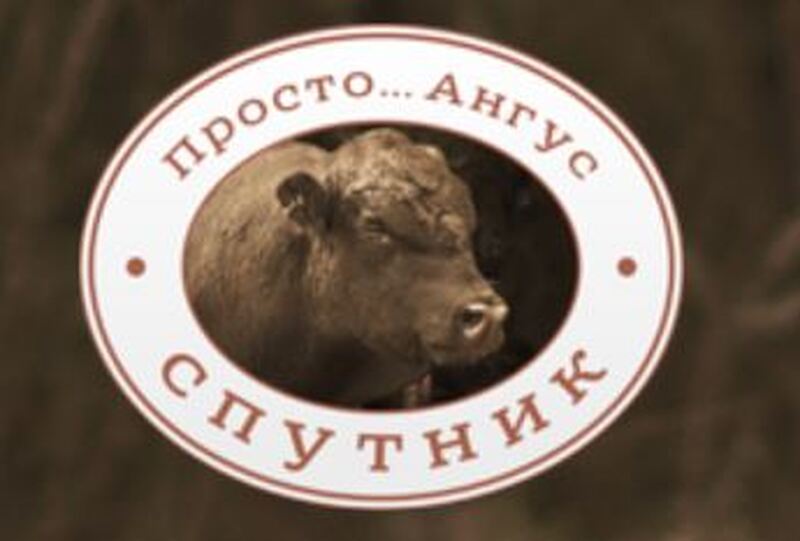 Установка расходомера-счетчика газа для котельной